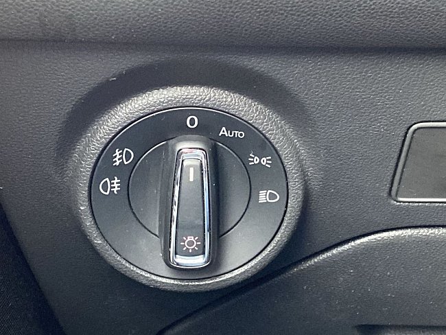 20199074.jpg