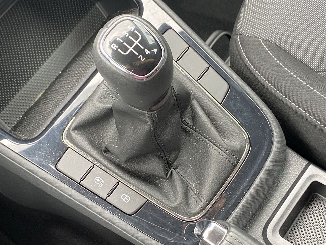 20199077.jpg
