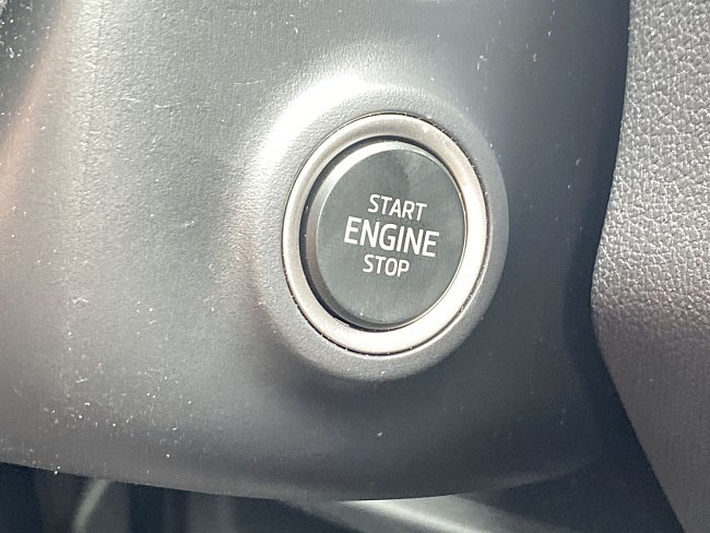 20199086.jpg