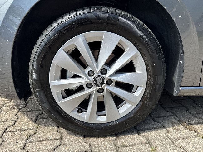 20199076.jpg