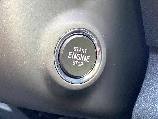 20199075.jpg