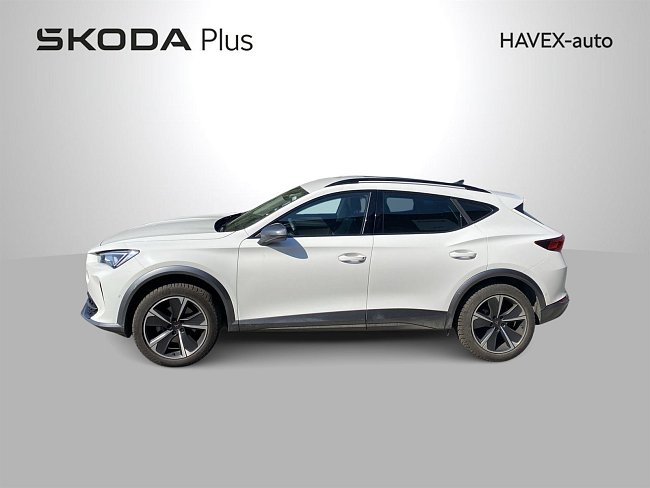 20199096.jpg