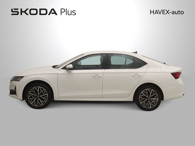 20199044.jpg