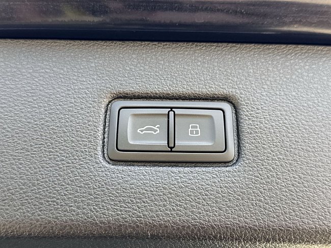20199052.jpg
