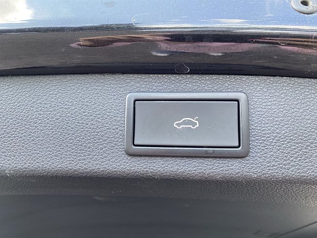 20199083.jpg