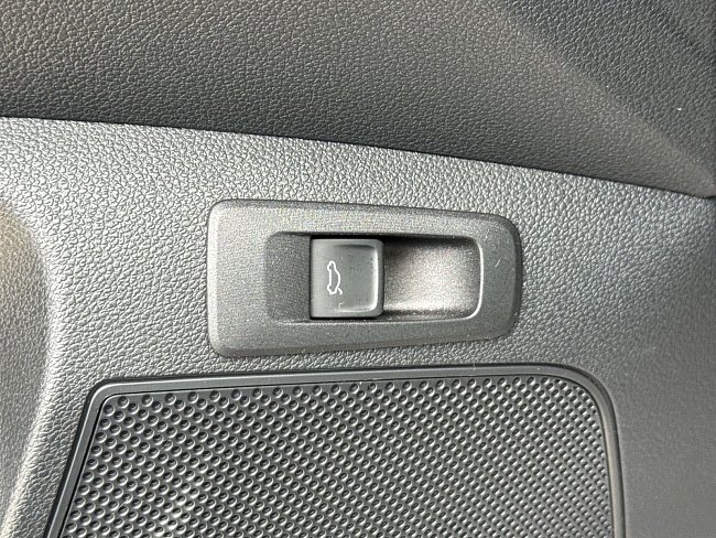 20199054.jpg