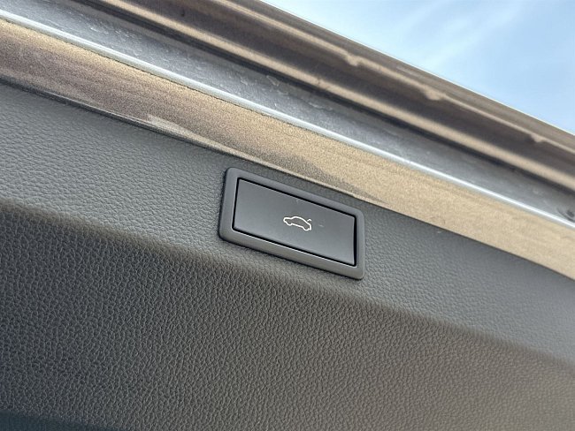 20199055.jpg