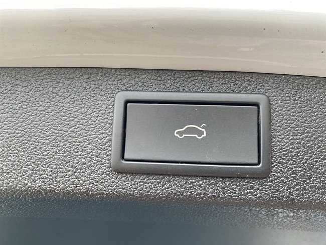 20199064.jpg