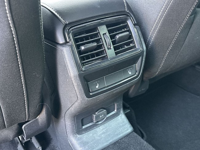 20199041.jpg