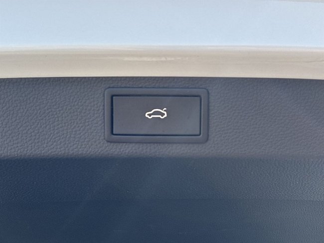 20199047.jpg
