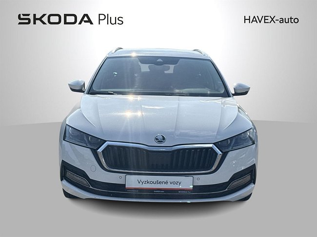 20199141.jpg