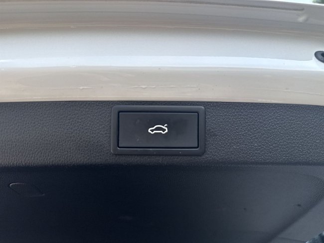 20199161.jpg