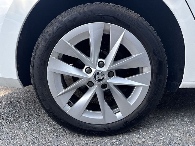 20199162.jpg
