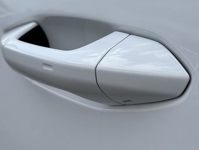 20199152.jpg