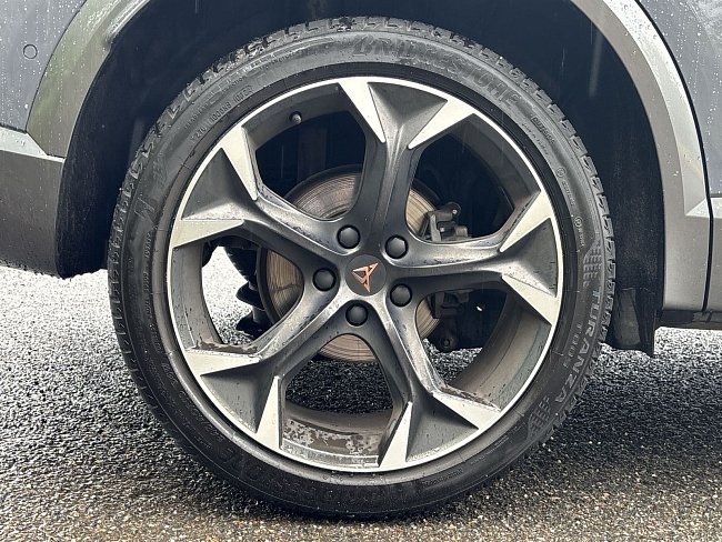 20199160.jpg