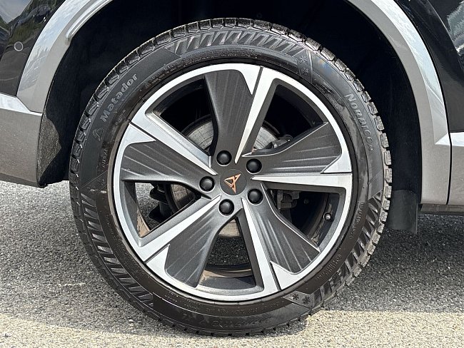 20199165.jpg