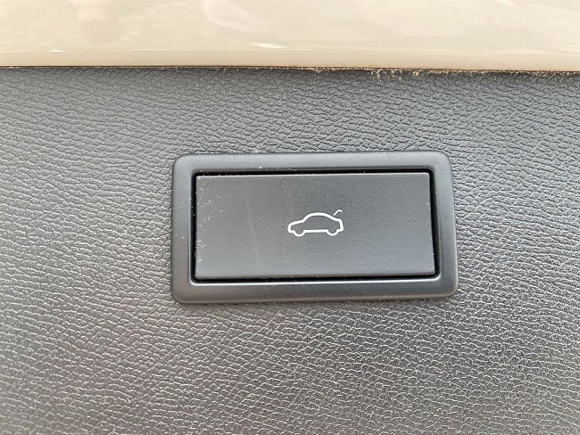 20199119.jpg