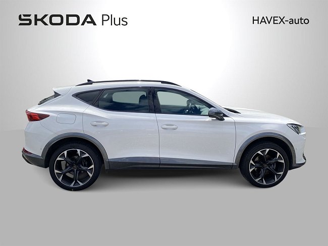 20199141.jpg