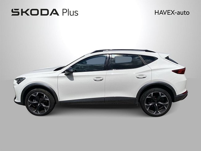 20199145.jpg