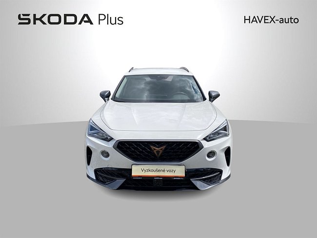 20199151.jpg