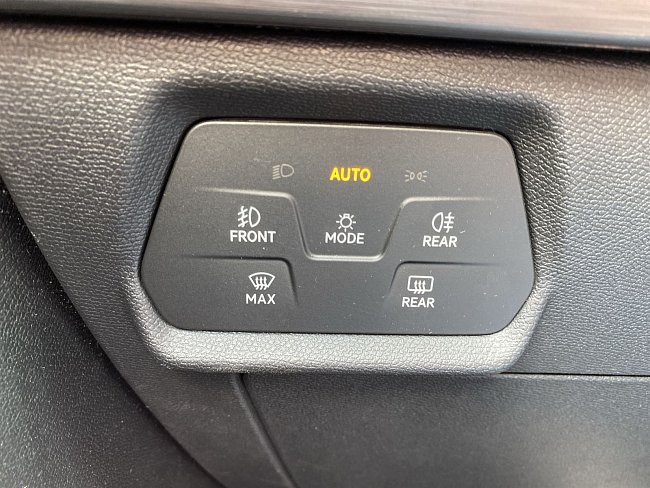 20199161.jpg