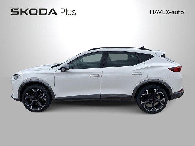 20199148.jpg