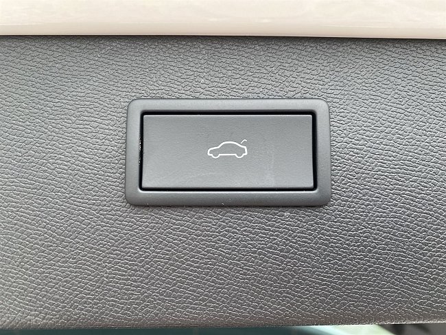 20199155.jpg