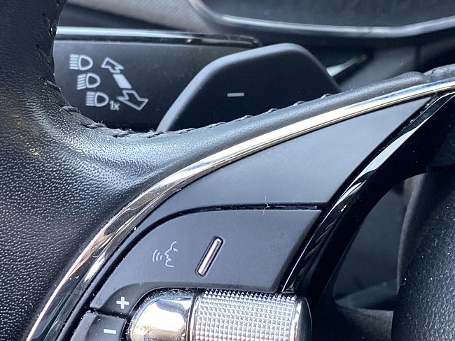 20199136.jpg