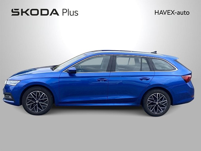 20199160.jpg