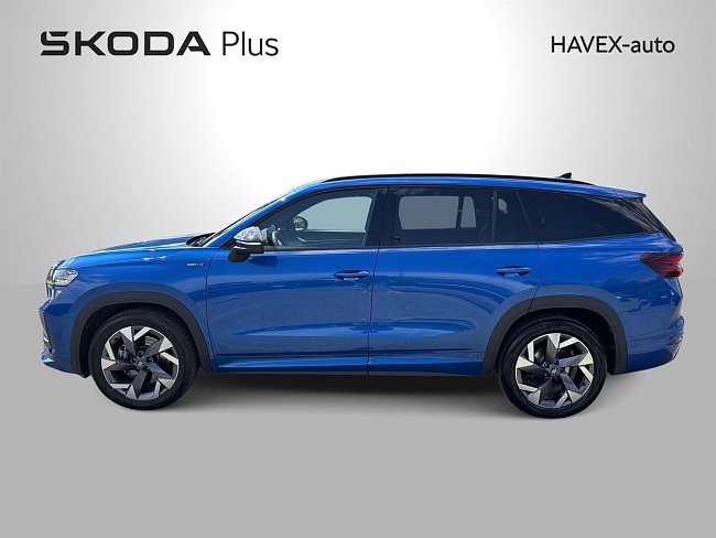 20199164.jpg