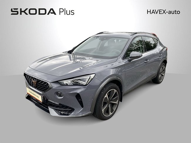 20199165.jpg