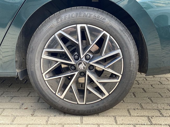 20199140.jpg