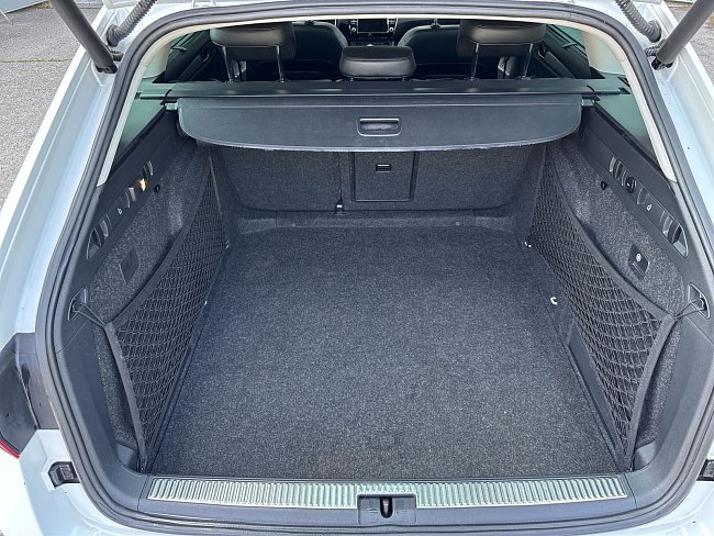 20199117.jpg