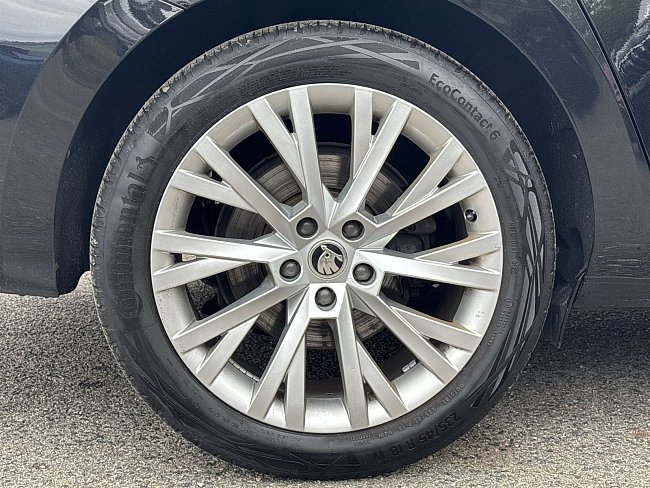 20199167.jpg