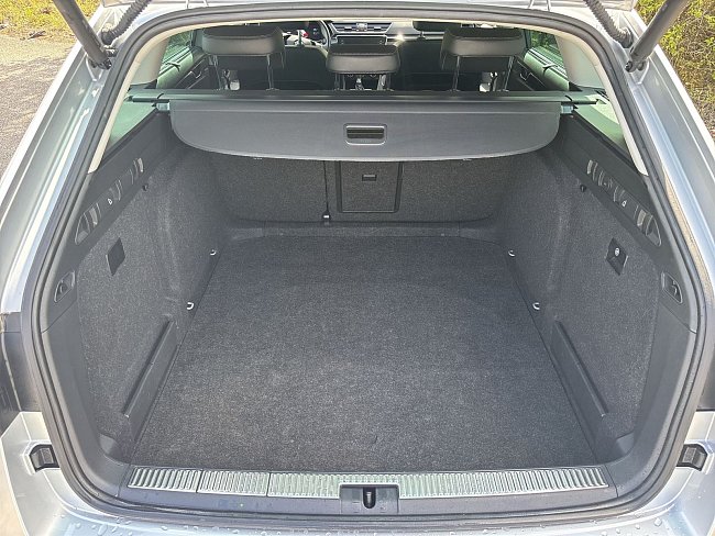 20199111.jpg