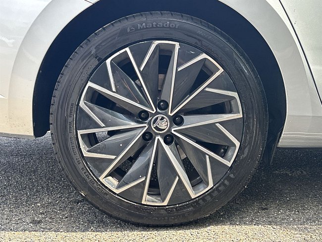 20199160.jpg