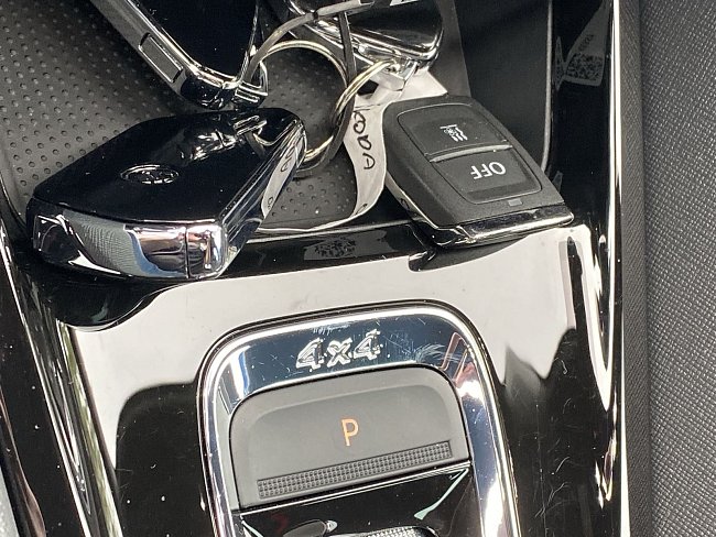 20199159.jpg