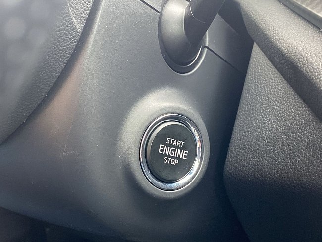 20199163.jpg