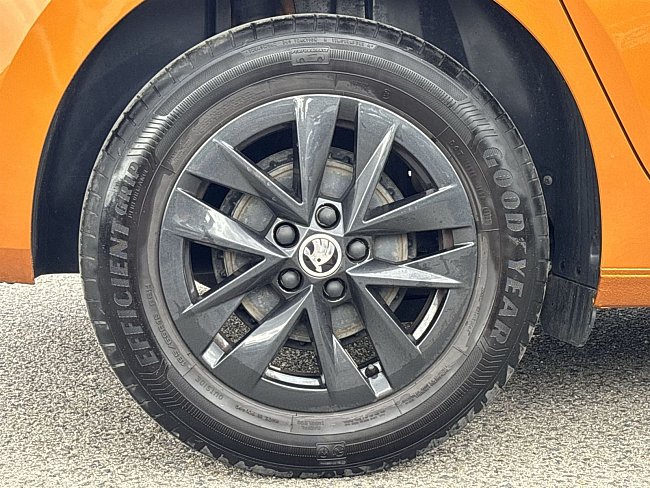 20198969.jpg