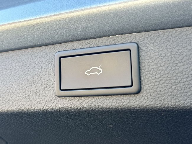 20198960.jpg