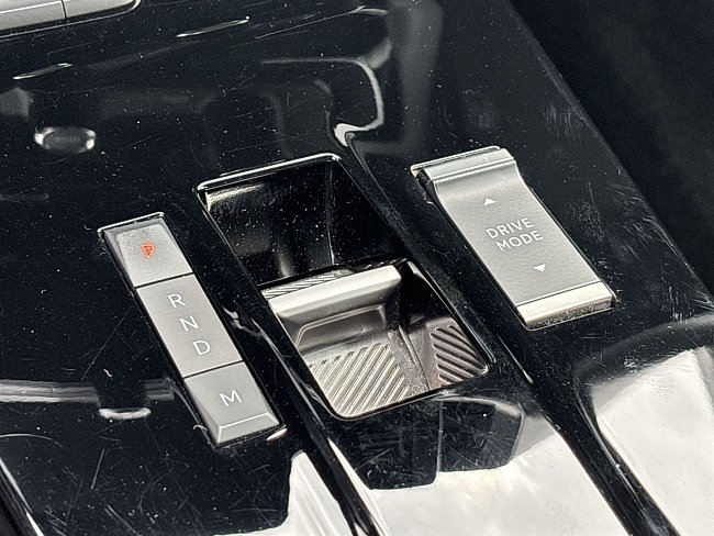 20198951.jpg