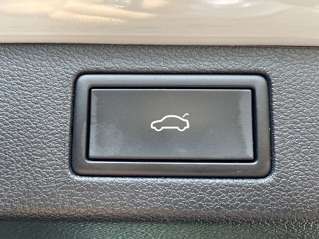 20198934.jpg