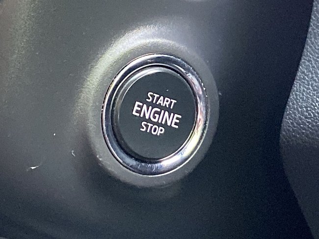 20198956.jpg
