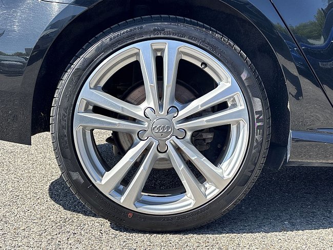 20198950.jpg
