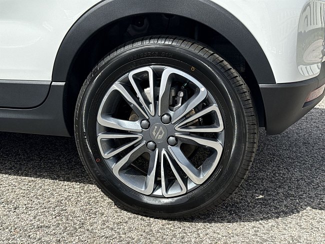 20198951.jpg