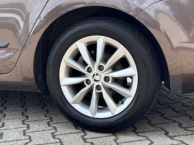 20198941.jpg