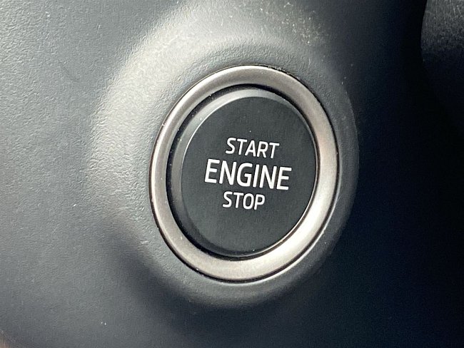 20198947.jpg