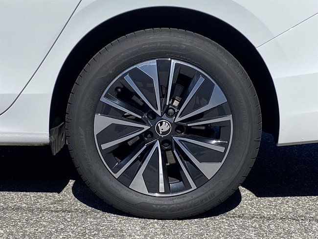 20198944.jpg
