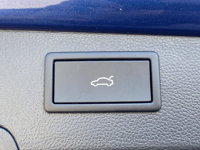 20198946.jpg