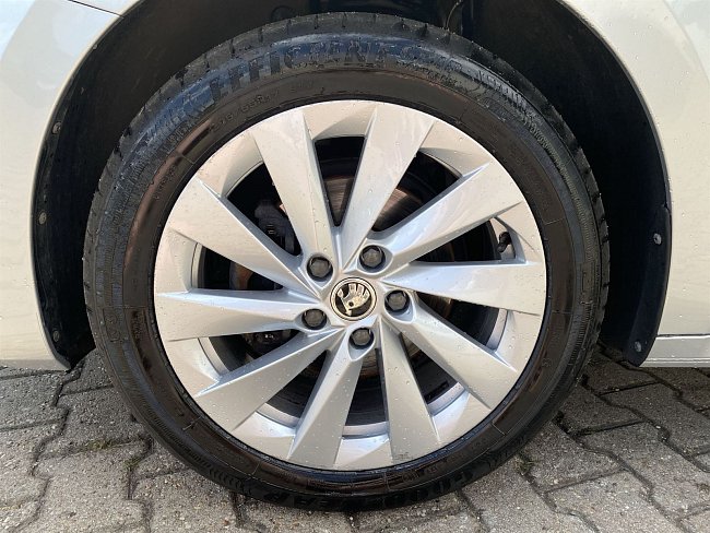 20198937.jpg